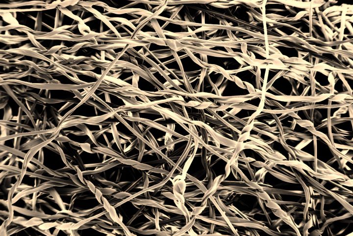 electrospun fibers SEM