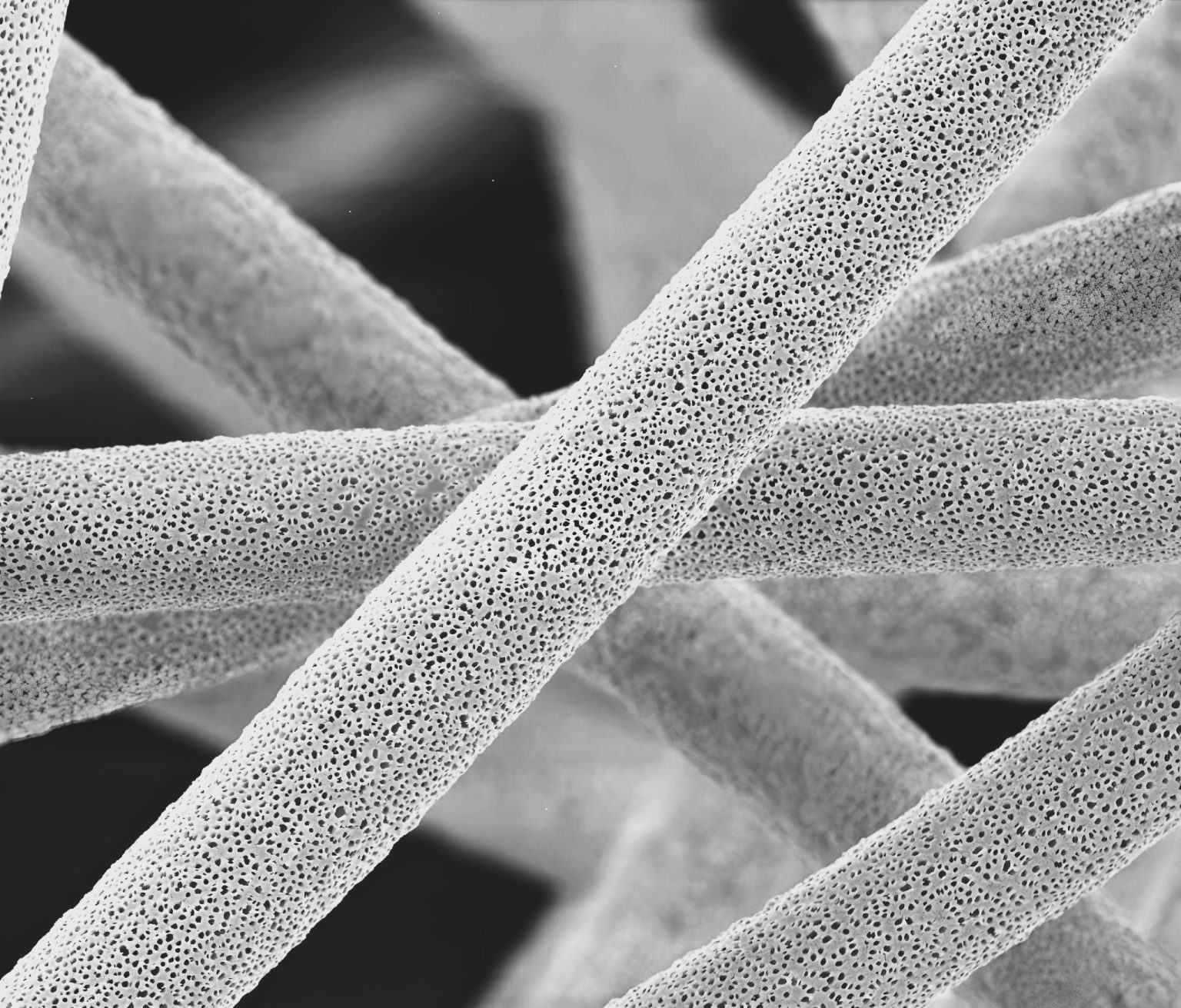 scanning electron micrograph of nanofibers made by electrospinning