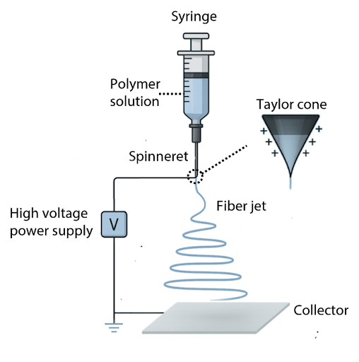 Schematic illustration of the electrospinning process